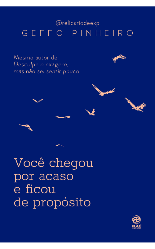 Você chegou por acaso e ficou de propósito